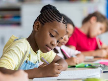 Joliet, IL Education Law Attorney